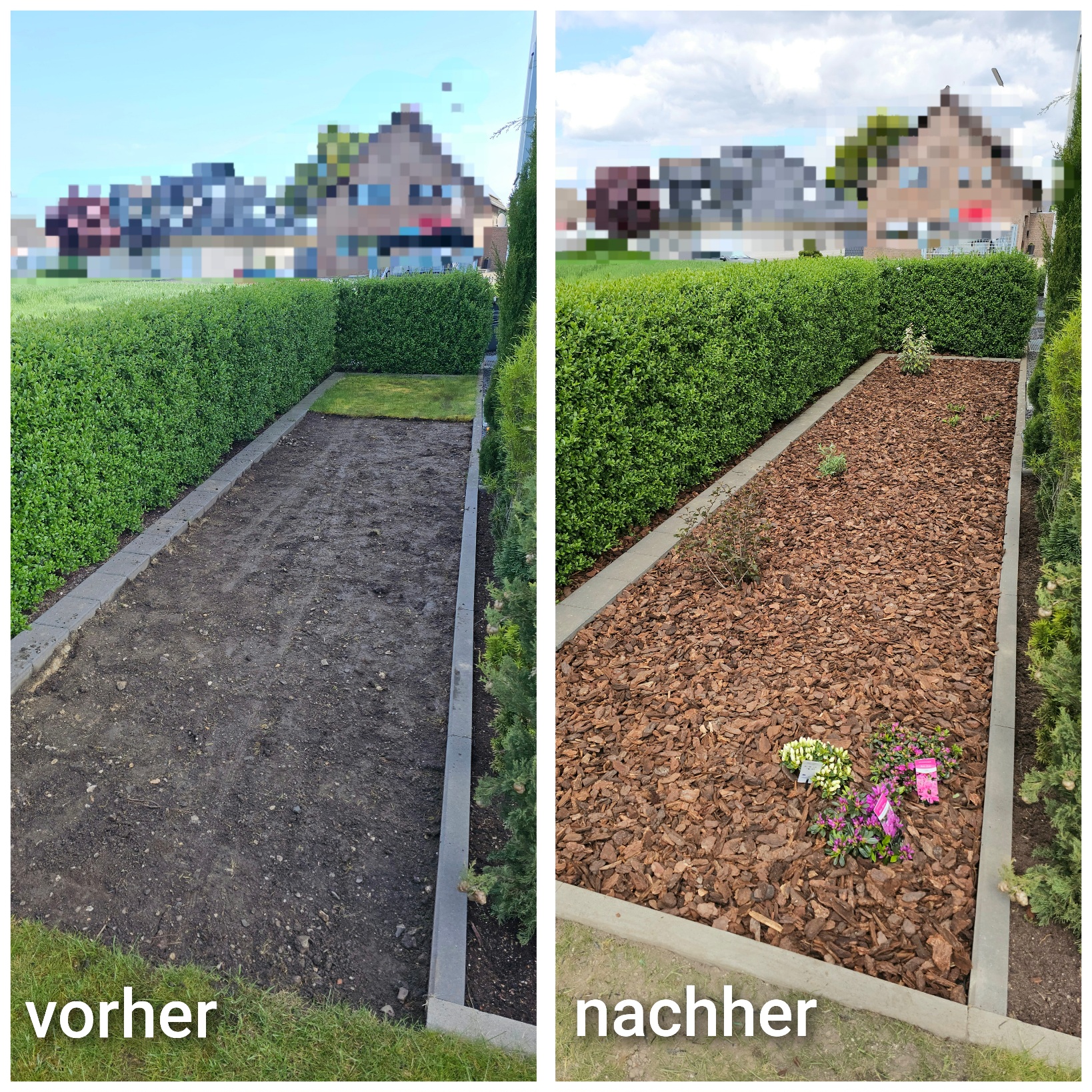 Beetneuanlage, Gartengestaltung