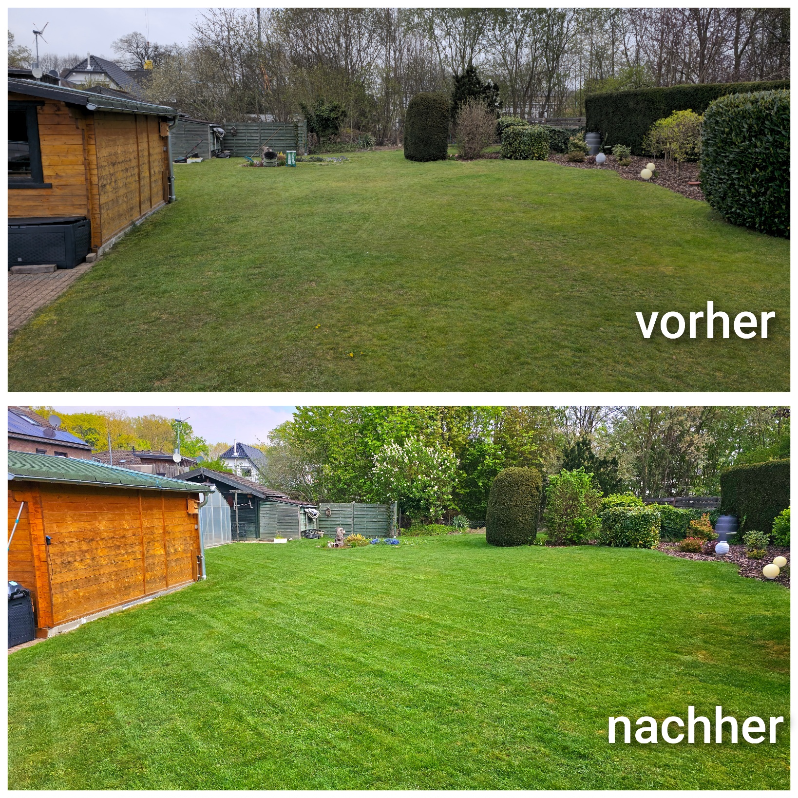 Rasenpflege, mähen, vertikutieren, düngen