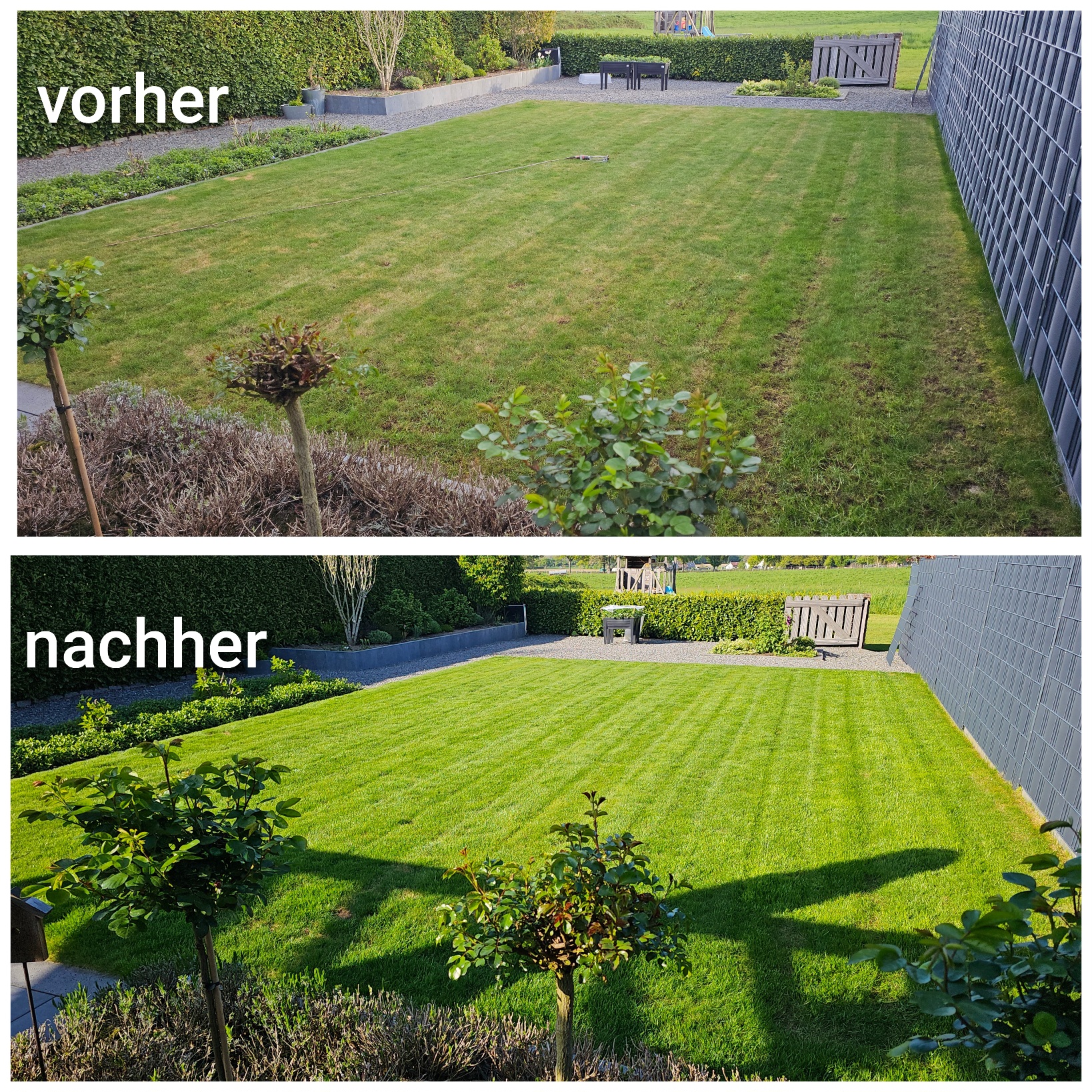 Rasenpflege, mähen, düngen, vertikutieren